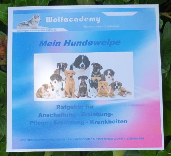 Mein Hundewelpe Ratgeber